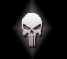 Punisher-61 - ait Kullanc Resmi (Avatar)